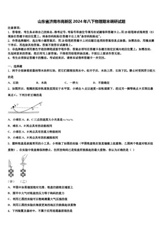 山东省济南市高新区2024年八下物理期末调研试题含解析.doc