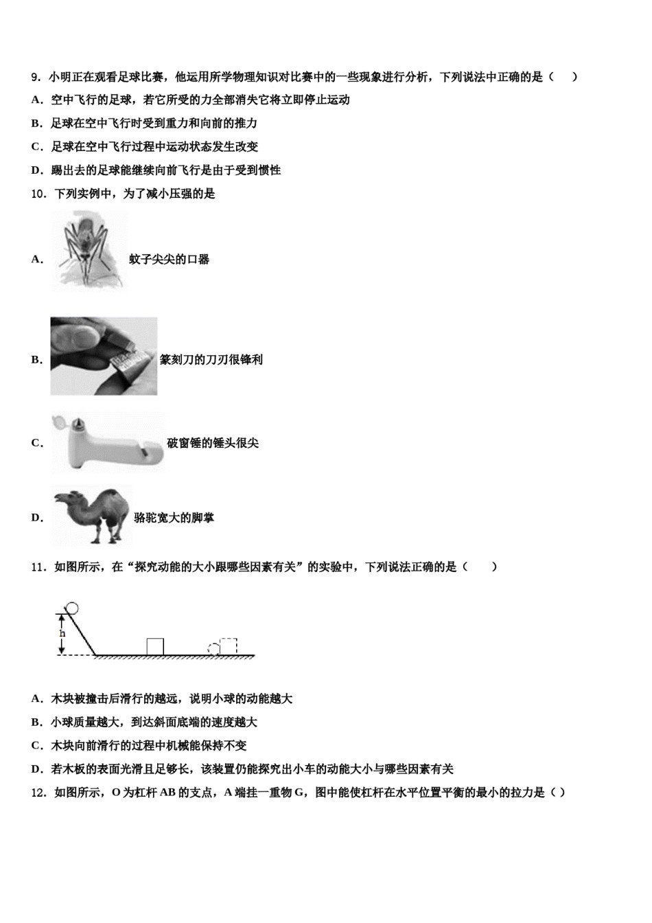 山东省济宁市邹城市第八中学2023-2024学年八下物理期末综合测试试题含解析.doc_第3页