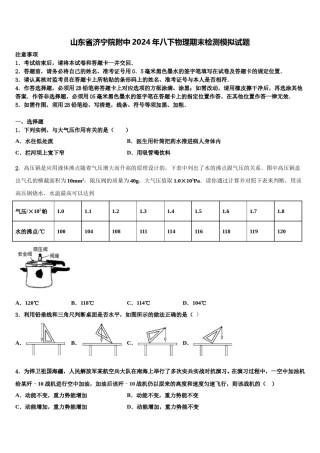 山东省济宁院附中2024年八下物理期末检测模拟试题含解析.doc
