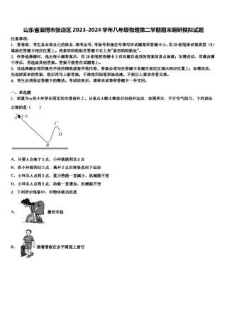 山东省淄博市张店区2023-2024学年八年级物理第二学期期末调研模拟试题含解析.doc
