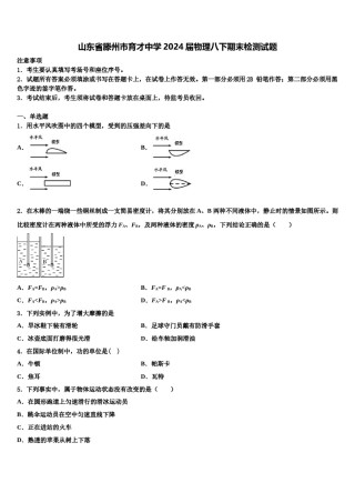 山东省滕州市育才中学2024届物理八下期末检测试题含解析.doc