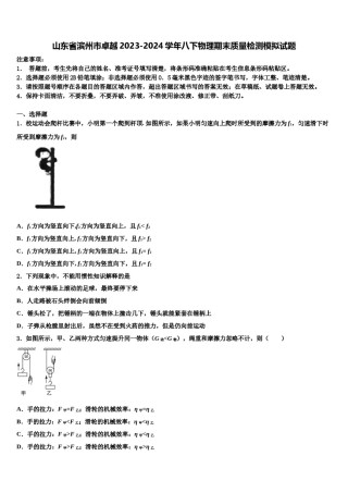 山东省滨州市卓越2023-2024学年八下物理期末质量检测模拟试题含解析.doc