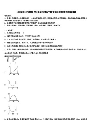 山东省滨州市名校2024届物理八下期末学业质量监测模拟试题含解析.doc