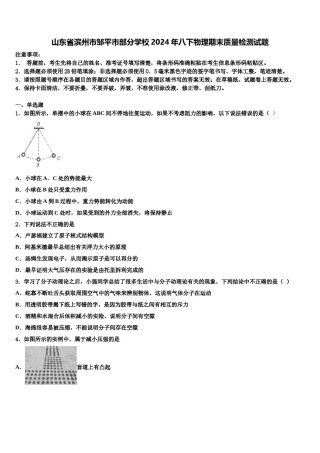 山东省滨州市邹平市部分学校2024年八下物理期末质量检测试题含解析.doc