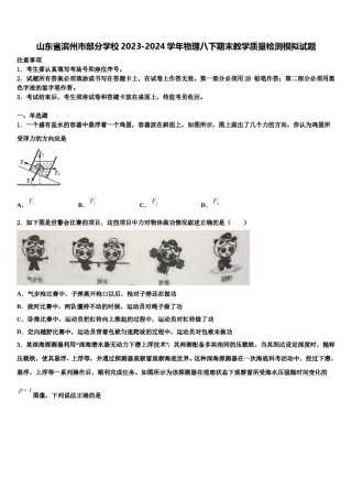山东省滨州市部分学校2023-2024学年物理八下期末教学质量检测模拟试题含解析.doc