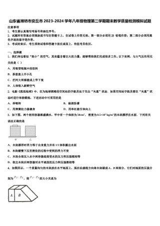 山东省潍坊市安丘市2023-2024学年八年级物理第二学期期末教学质量检测模拟试题含解析.doc