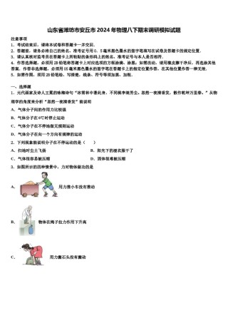 山东省潍坊市安丘市2024年物理八下期末调研模拟试题含解析.doc