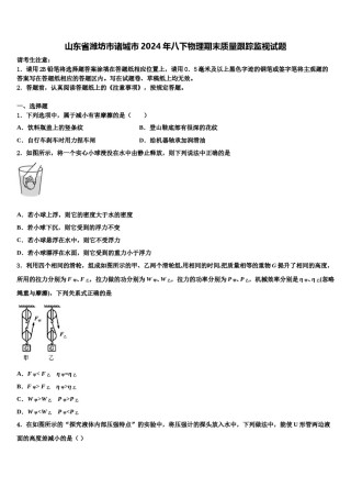山东省潍坊市诸城市2024年八下物理期末质量跟踪监视试题含解析.doc