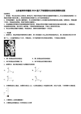 山东省潍坊市辖县2024届八下物理期末达标检测模拟试题含解析.doc