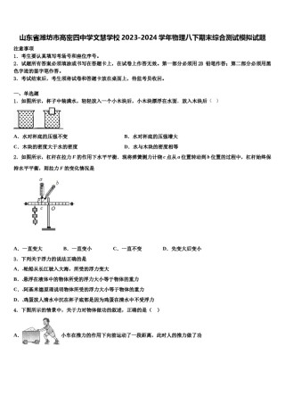 山东省潍坊市高密四中学文慧学校2023-2024学年物理八下期末综合测试模拟试题含解析.doc