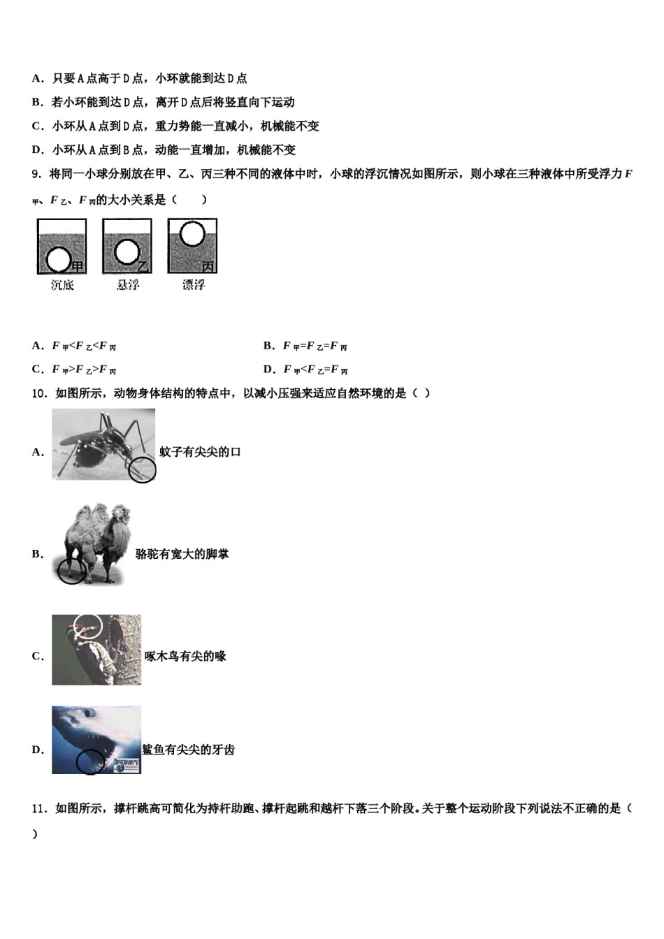山东省潍坊诸城市2024年八年级物理第二学期期末质量检测试题含解析.doc_第3页