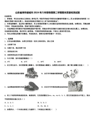 山东省潍坊诸城市2024年八年级物理第二学期期末质量检测试题含解析.doc