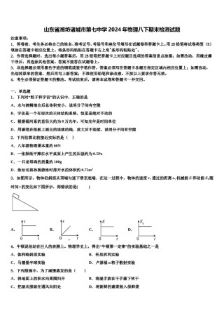 山东省潍坊诸城市第七中学2024年物理八下期末检测试题含解析.doc