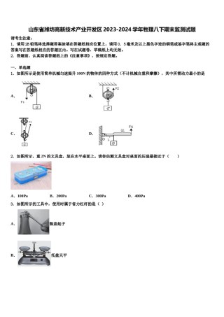山东省潍坊高新技术产业开发区2023-2024学年物理八下期末监测试题含解析.doc