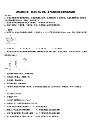 山东省烟台市、龙口市2024年八下物理期末质量跟踪监视试题含解析.doc