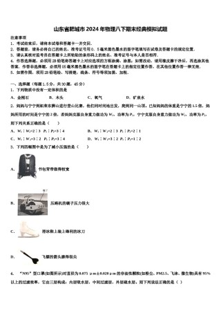 山东省肥城市2024年物理八下期末经典模拟试题含解析.doc