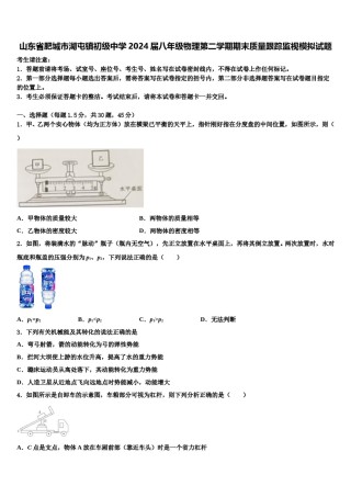 山东省肥城市湖屯镇初级中学2024届八年级物理第二学期期末质量跟踪监视模拟试题含解析.doc
