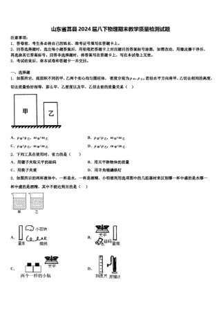 山东省莒县2024届八下物理期末教学质量检测试题含解析.doc