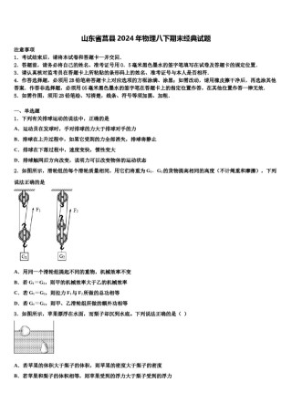 山东省莒县2024年物理八下期末经典试题含解析.doc