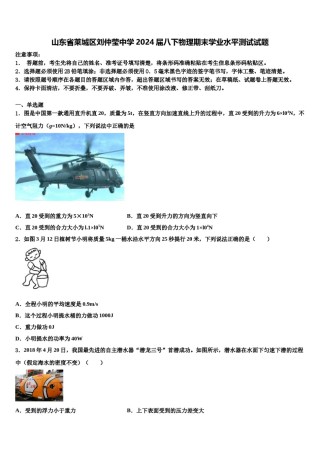 山东省莱城区刘仲莹中学2024届八下物理期末学业水平测试试题含解析.doc