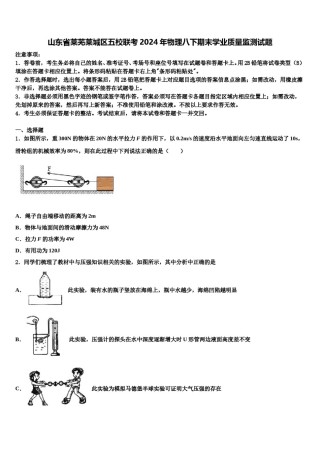 山东省莱芜莱城区五校联考2024年物理八下期末学业质量监测试题含解析.doc