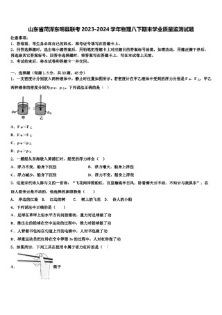 山东省菏泽东明县联考2023-2024学年物理八下期末学业质量监测试题含解析.doc