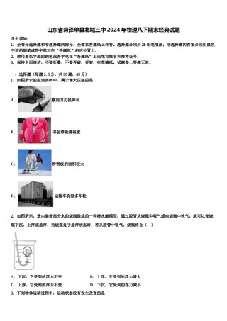 山东省菏泽单县北城三中2024年物理八下期末经典试题含解析.doc