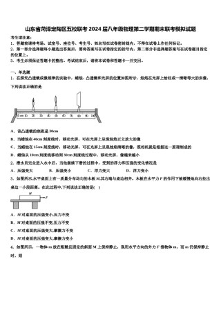 山东省菏泽定陶区五校联考2024届八年级物理第二学期期末联考模拟试题含解析.doc