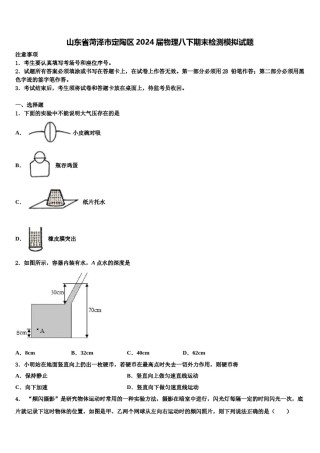 山东省菏泽市定陶区2024届物理八下期末检测模拟试题含解析.doc
