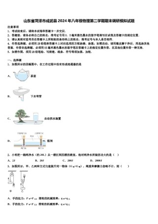 山东省菏泽市成武县2024年八年级物理第二学期期末调研模拟试题含解析.doc