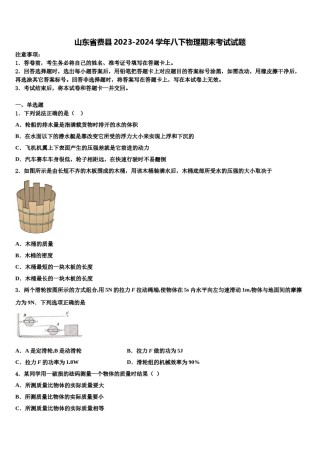 山东省费县2023-2024学年八下物理期末考试试题含解析.doc