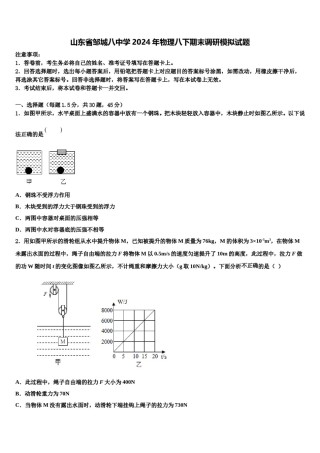 山东省邹城八中学2024年物理八下期末调研模拟试题含解析.doc