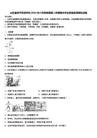 山东省邹平双语学校2024年八年级物理第二学期期末学业质量监测模拟试题含解析.doc