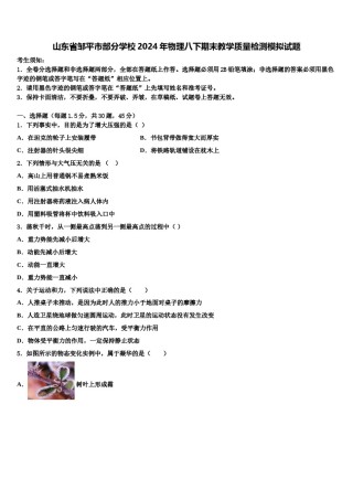 山东省邹平市部分学校2024年物理八下期末教学质量检测模拟试题含解析.doc