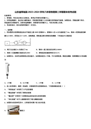 山东省郓城县2023-2024学年八年级物理第二学期期末统考试题含解析.doc