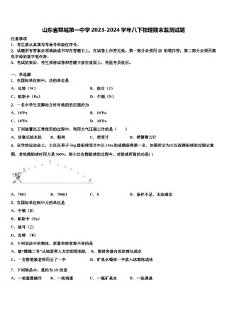 山东省郓城第一中学2023-2024学年八下物理期末监测试题含解析.doc