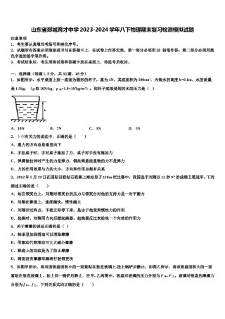 山东省郯城育才中学2023-2024学年八下物理期末复习检测模拟试题含解析.doc
