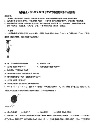 山东省金乡市2023-2024学年八下物理期末达标检测试题含解析.doc