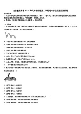 山东省金乡市2024年八年级物理第二学期期末学业质量监测试题含解析.doc