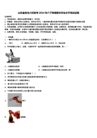 山东省青岛六校联考2024年八下物理期末学业水平测试试题含解析.doc