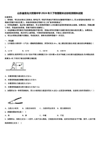 山东省青岛大附属中学2024年八下物理期末达标检测模拟试题含解析.doc