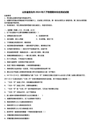 山东省青岛市2024年八下物理期末综合测试试题含解析.doc