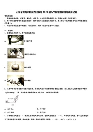 山东省青岛市局属四校联考2024届八下物理期末统考模拟试题含解析.doc