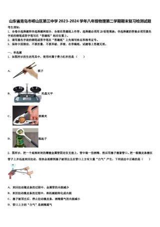 山东省青岛市崂山区第三中学2023-2024学年八年级物理第二学期期末复习检测试题含解析.doc