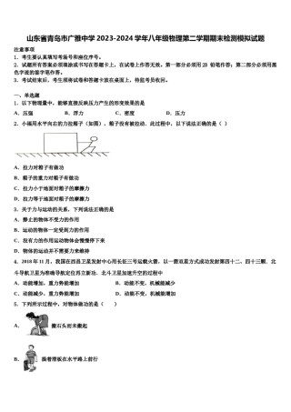山东省青岛市广雅中学2023-2024学年八年级物理第二学期期末检测模拟试题含解析.doc