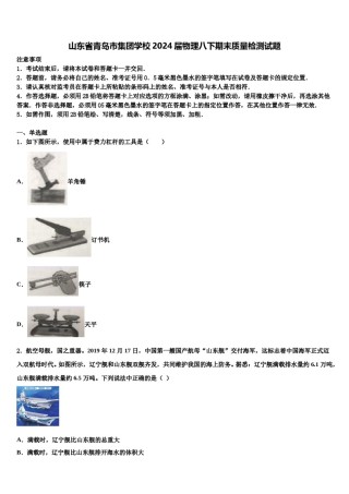 山东省青岛市集团学校2024届物理八下期末质量检测试题含解析.doc