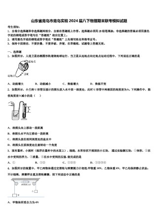 山东省青岛市青岛实验2024届八下物理期末联考模拟试题含解析.doc