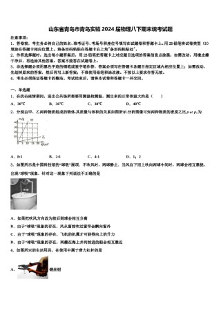 山东省青岛市青岛实验2024届物理八下期末统考试题含解析.doc