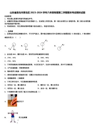 山东省青岛市黄岛区2023-2024学年八年级物理第二学期期末考试模拟试题含解析.doc