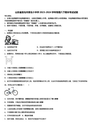 山东省青岛市黄岛十中学2023-2024学年物理八下期末考试试题含解析.doc